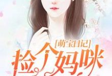 小说《萌宝日记:捡个妈咪送爹地》章节阅读-艾米文学