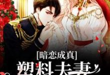 暗恋成真：塑料夫妻假戏真做主角岑望月盛棠舟小说完结版章节在线阅读-艾米文学