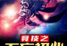 已完结小说《竞技之不忘初心》在线章节阅读-艾米文学