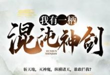 免费看我有一柄混沌神剑小说的网站有哪些？-艾米文学