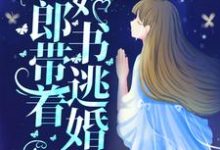在线寻找新婚夜,新郎带着婚书逃婚了?小说的无删减版本-艾米文学