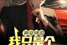 主角赵林小说完结版在线阅读,神豪网游:我只是个萌新玩家免费看-艾米文学