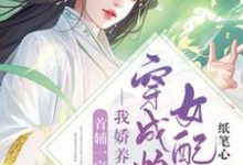 主人公叫苏娇娇顾游风的小说哪里免费看-艾米文学