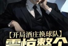 杨力大姚小说叫什么（开局酒庄换球队，震惊整个NBA免费阅读）-艾米文学