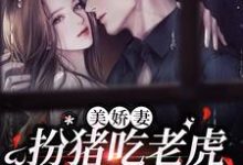 林慧徐东升的小说在哪里看？免费在线阅读美娇妻扮猪吃老虎，爆改懒汉老公-艾米文学