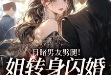 目睹男友劈腿！姐转身闪婚京圈大佬免费阅读，目睹男友劈腿！姐转身闪婚京圈大佬章节目录-艾米文学