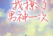 我撩了男神一次免费阅读，我撩了男神一次章节在线阅读-艾米文学