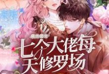 病娇团宠:七个大佬每天修罗场小说全文阅读需要付费吗?寻找免费资源-艾米文学