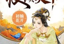 完结版《丑妃权倾天下》章节目录在线阅读-艾米文学