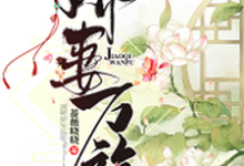 《娇妻万福》小说章节列表免费试读，石锦绣宇文炎小说在线阅读-艾米文学