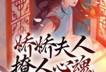 小说《娇娇夫人撩人心魂，冷傲少帅拿命宠》章节免费阅读-艾米文学