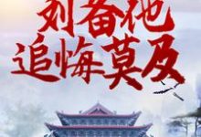 三国：转投曹操后，刘备他追悔莫及 杨凌糜贞小说在线章节免费阅读-艾米文学