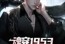 主人公叫藤原秀泽的小说哪里免费看-艾米文学