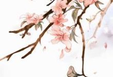 当我得知自己是恶毒女配后……章节免费在线阅读,楚玄夜宋安宁陆静怡靖安侯合欢散完结版-艾米文学