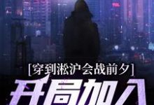 小说《穿到淞沪会战前夕，开局加入黑风寨》在线章节阅读-艾米文学