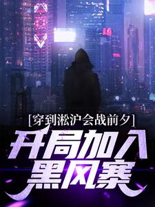 小说《穿到淞沪会战前夕，开局加入黑风寨》在线章节阅读