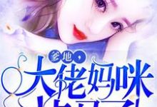 《爹地,大佬妈咪掉马了》全集免费在线阅读( 叶落落慕少棠)-艾米文学