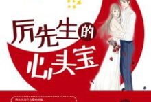 完整版的厉先生的心头宝小说在哪里可以免费读到?-艾米文学