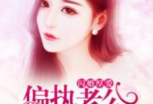 闪婚厚爱:偏执老公宠上瘾小说,闪婚厚爱:偏执老公宠上瘾免费阅读-艾米文学