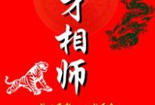 免费看天才相师小说的网站有哪些？-艾米文学