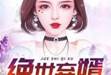 叶辰洛婉晴洛瑞雪为主角的小说叫什么？免费看绝世弃婿-艾米文学