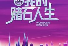 年少轻狂：我的赌石人生小说的无弹窗阅读体验，寻找免费阅读网站-艾米文学