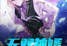 无双神婿免费阅读，无双神婿章节在线阅读-艾米文学