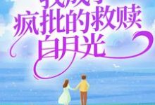 主角叫苏沅兮容晏小说我成了疯批的救赎白月光章节免费阅读-艾米文学