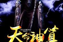 小说《天命神算》章节免费阅读-艾米文学