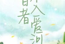 《智者不入爱河》小说主角陈念徐晏清章节章节免费在线阅读-艾米文学