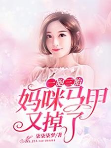 一胞三胎，妈咪马甲又掉了免费阅读，一胞三胎，妈咪马甲又掉了林芸白诚崔明浩林可儿