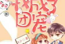 被渣后，我成了团宠云洛寒盛慕在线章节免费阅读-艾米文学