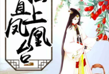 小说《扶摇直上凤凰台》章节免费阅读-艾米文学