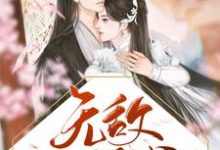 无敌小王爷小说的无弹窗阅读体验，寻找免费阅读网站-艾米文学