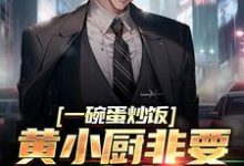 《一碗蛋炒饭，黄小厨非要拜我为师》小说大结局免费试读 苏晨小说-艾米文学
