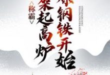 小说《称霸：从架起高炉冶炼钢铁开始》章节免费阅读-艾米文学