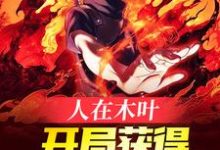 主角宇智波卡卡西小说完结版在线阅读，人在木叶，开局获得万花筒写轮眼免费看-艾米文学
