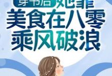 穿书后，她靠美食在八零乘风破浪章节免费在线阅读，陆香傅琴辉完结版-艾米文学