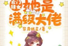 农门辣女:肥婆弃妇她是满级大佬小说的免费阅读版本在哪里可以找到?-艾米文学