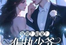 强撩!暗宠!偏执少爷心动一万次这本小说在哪里可以看?哪里有免费试读章节?-艾米文学