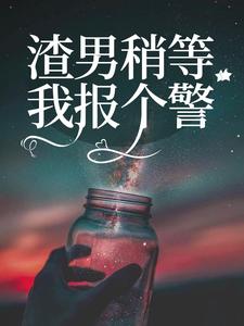 《渣男稍等，我报个警》全集免费在线阅读（安宜谢言书）