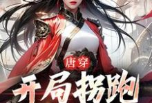 主角叫李琩杨玉环小说唐穿：开局拐跑杨玉环章节免费阅读-艾米文学