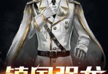 镇国强龙小说,镇国强龙免费阅读-艾米文学