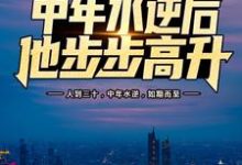 中年水逆后，他步步高升小说全文哪里可以免费看？-艾米文学