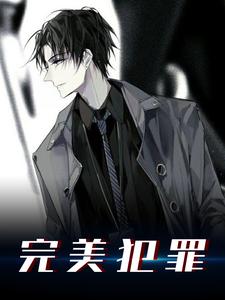 完结版《完美犯罪》在线免费阅读