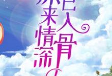 韩洛段奕铭为主角的小说好看吗？求原来情深已入骨免费试读-艾米文学
