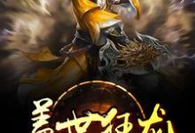 小说《盖世狂龙》章节免费阅读-艾米文学