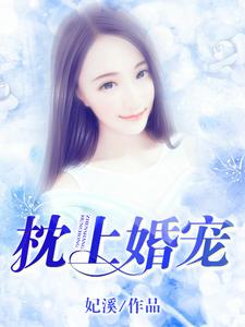 枕上婚宠洛晓天苏南城小说在线章节免费阅读