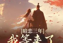 已完结小说《暗恋三年，我等来了命定姻缘》在线章节阅读-艾米文学