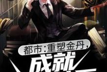 小说《都市:重塑金丹,成就盛世神医》章节免费阅读-艾米文学